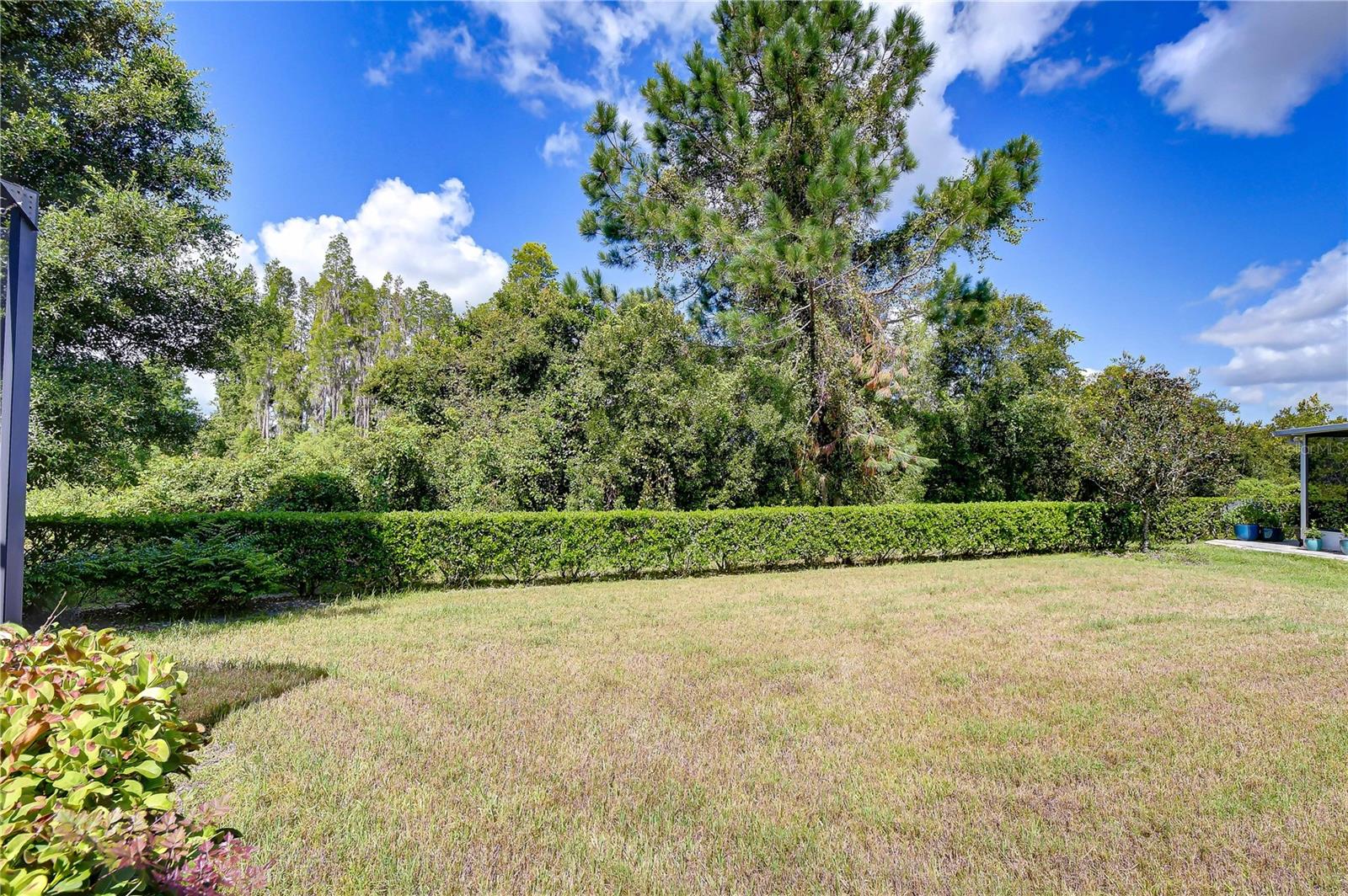 1127 Wrightswynde Ct Property Photo 21