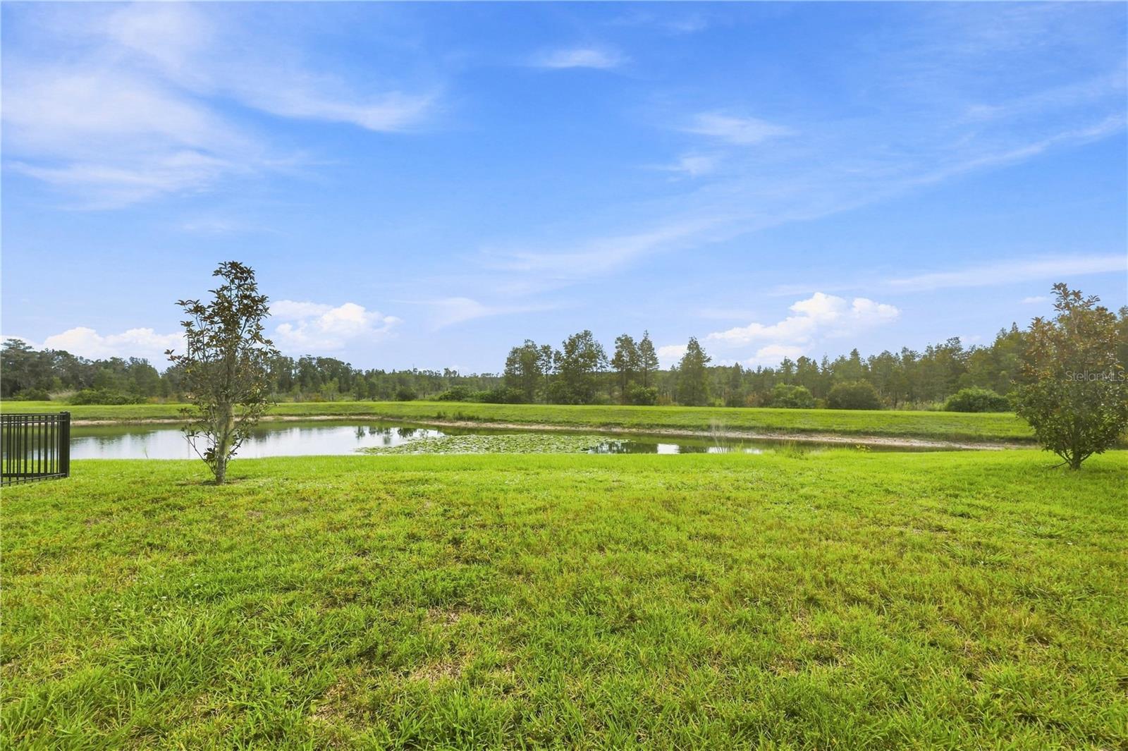 19780 Blue Pond Dr Property Photo 33