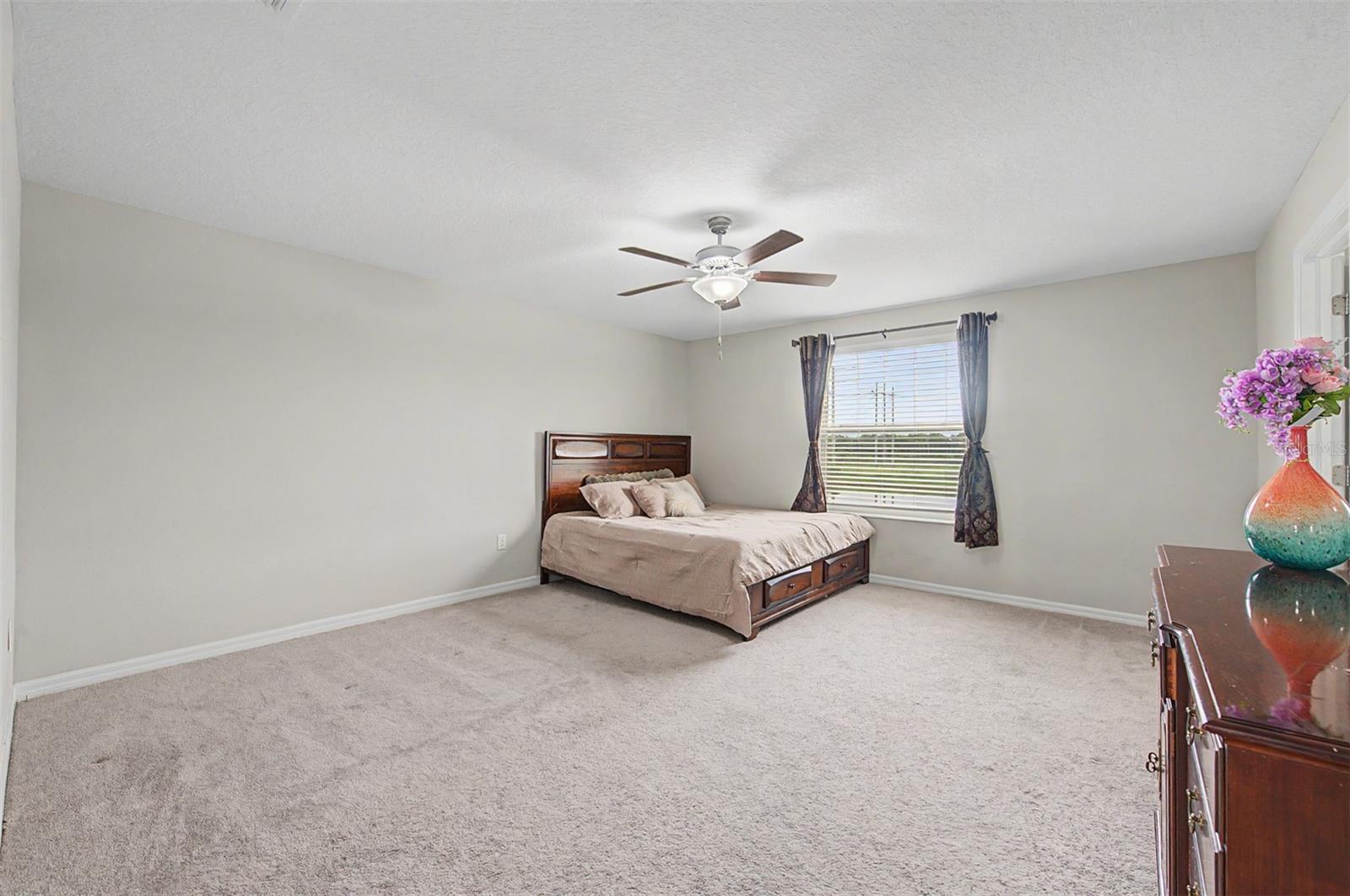 4710 Wild Senna Blvd Property Photo 24