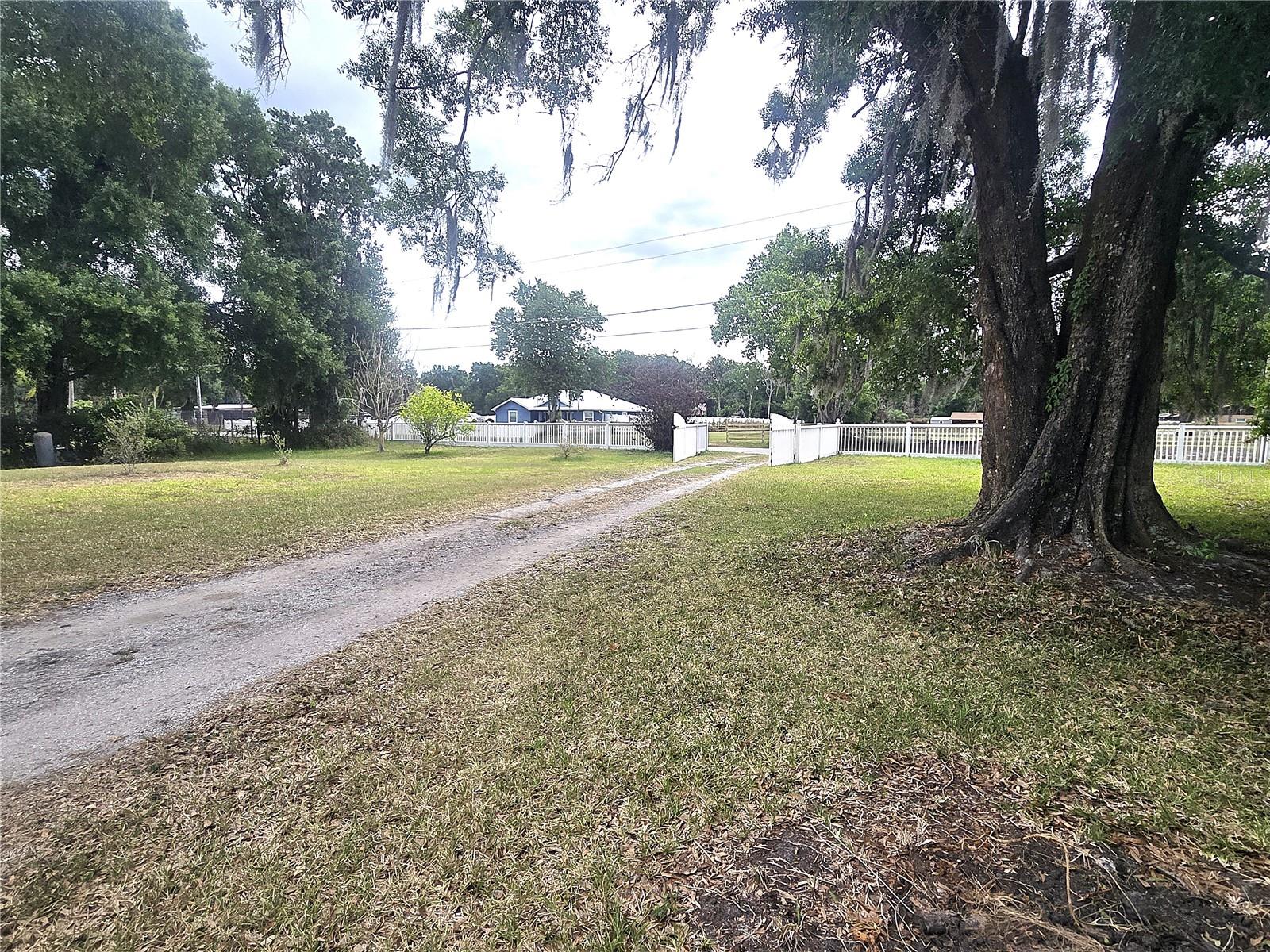 1214 Jerry Smith Rd Property Photo 5