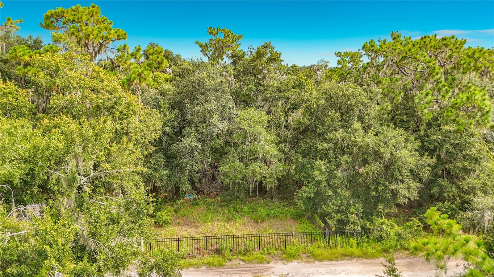 10623 Lithia Estates Dr Property Photo 46