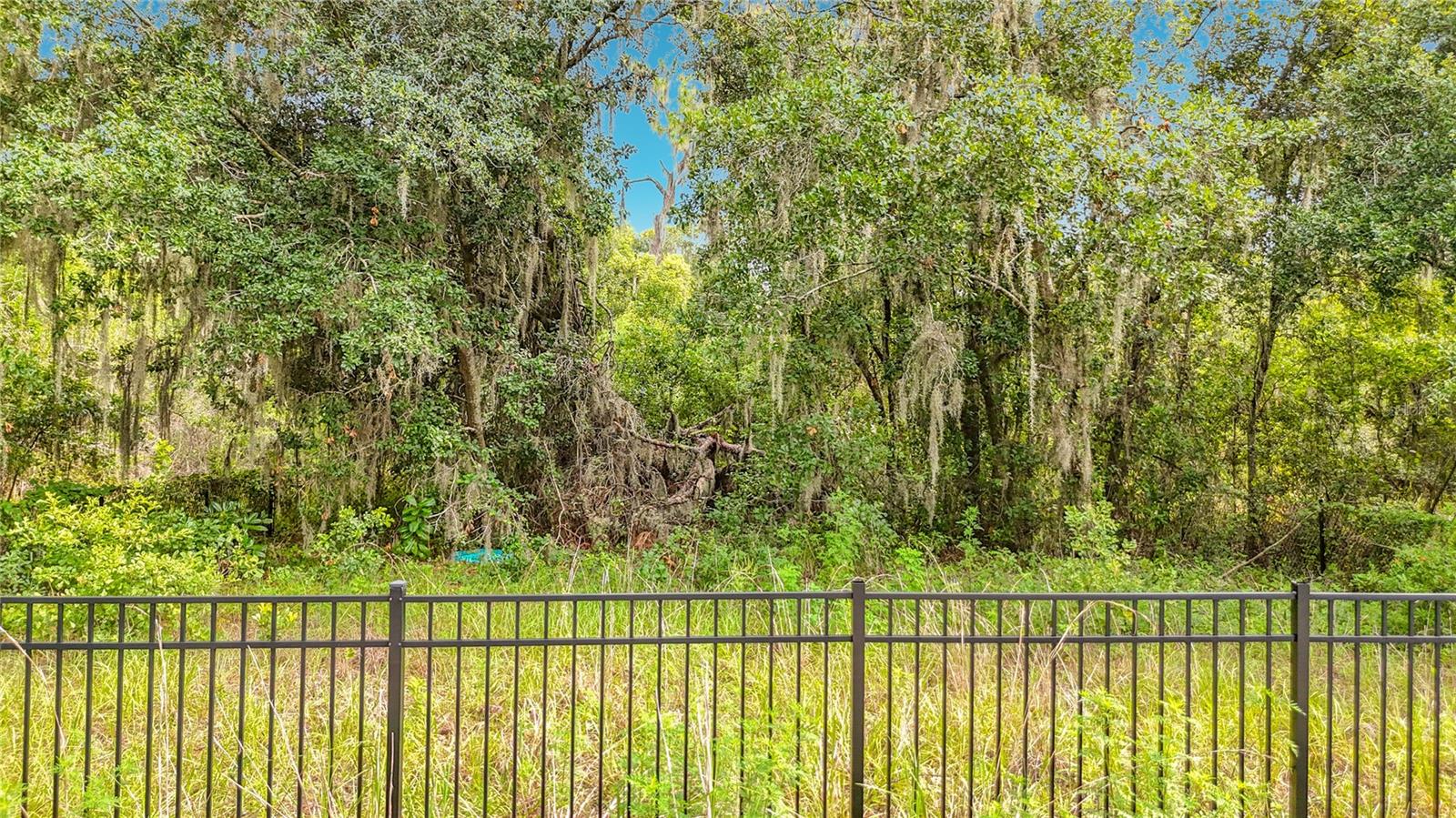 10623 Lithia Estates Dr Property Photo 48