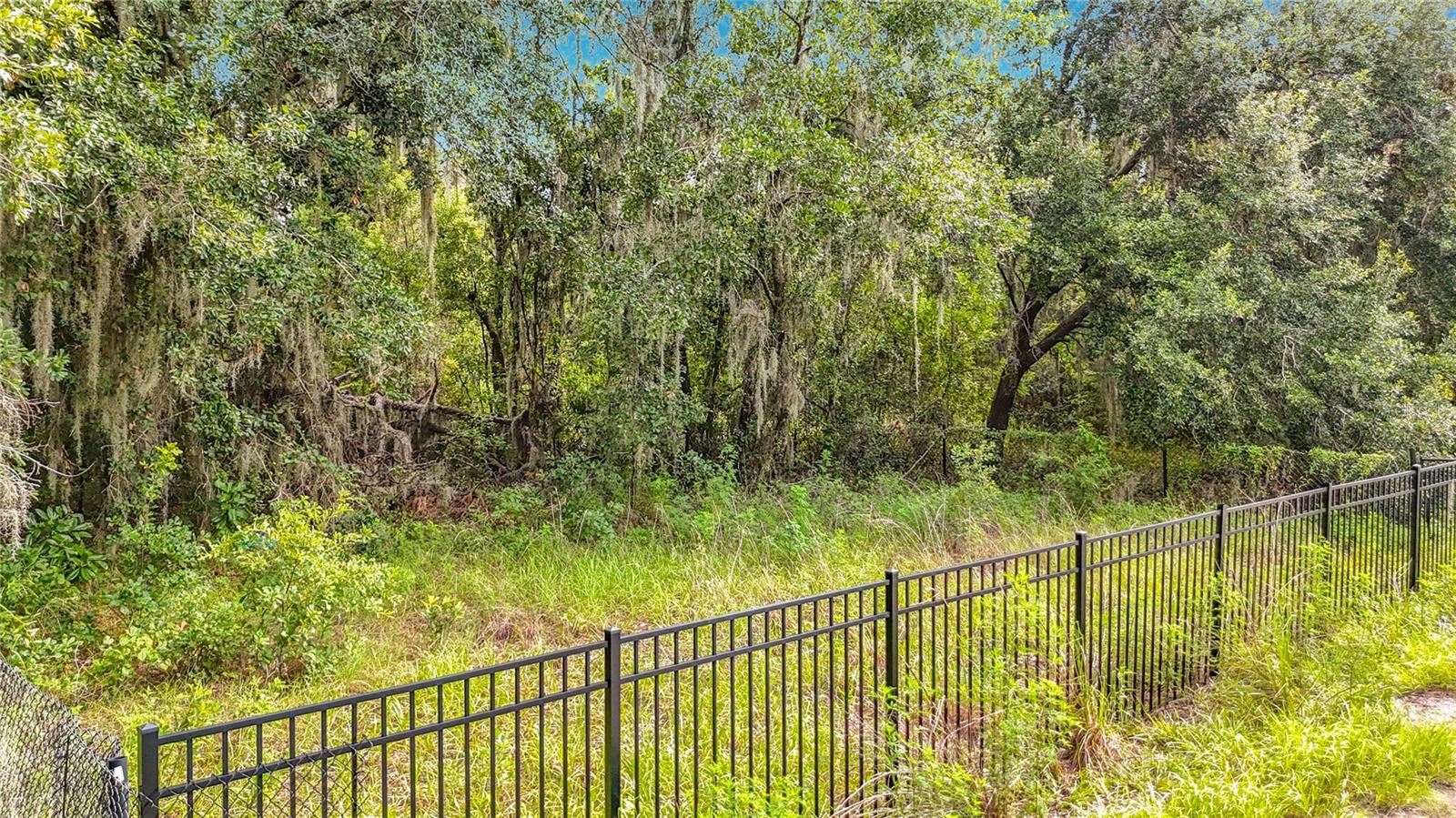 10623 Lithia Estates Dr Property Photo 49