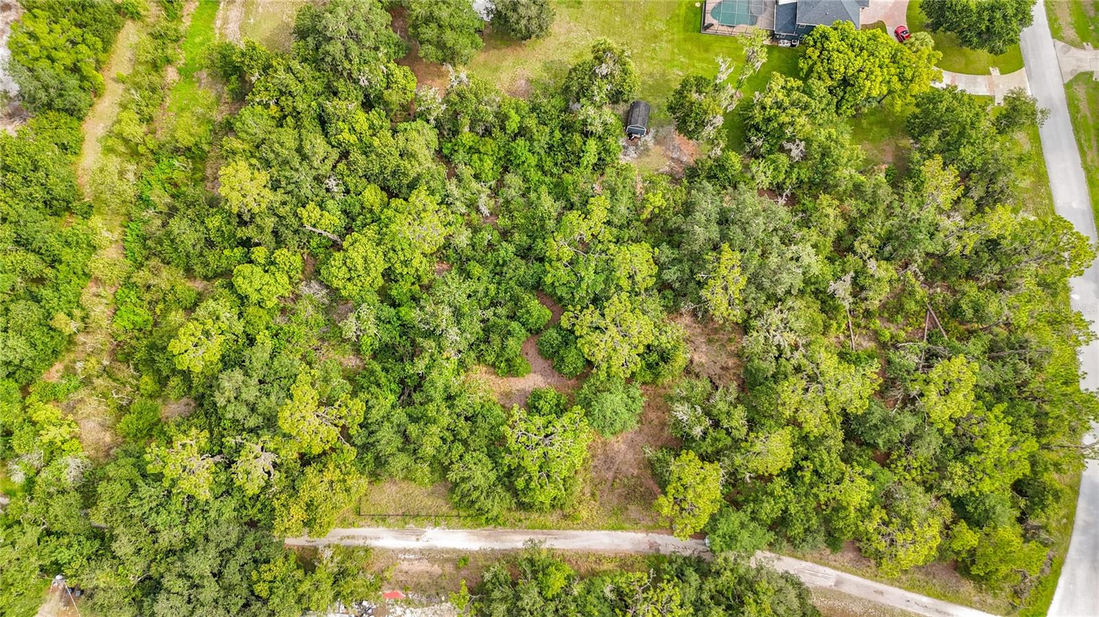 10623 Lithia Estates Dr Property Photo 50