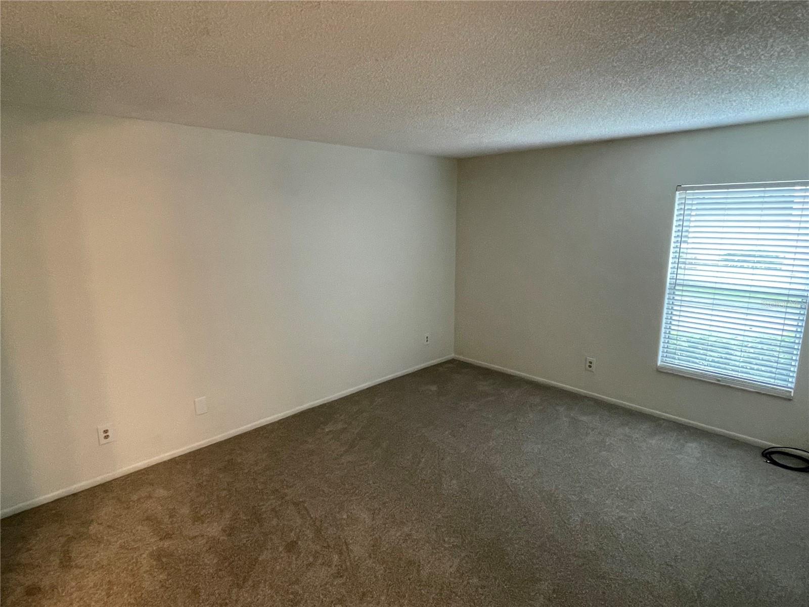 14308 Hanging Moss Cir #101 Property Photo 11