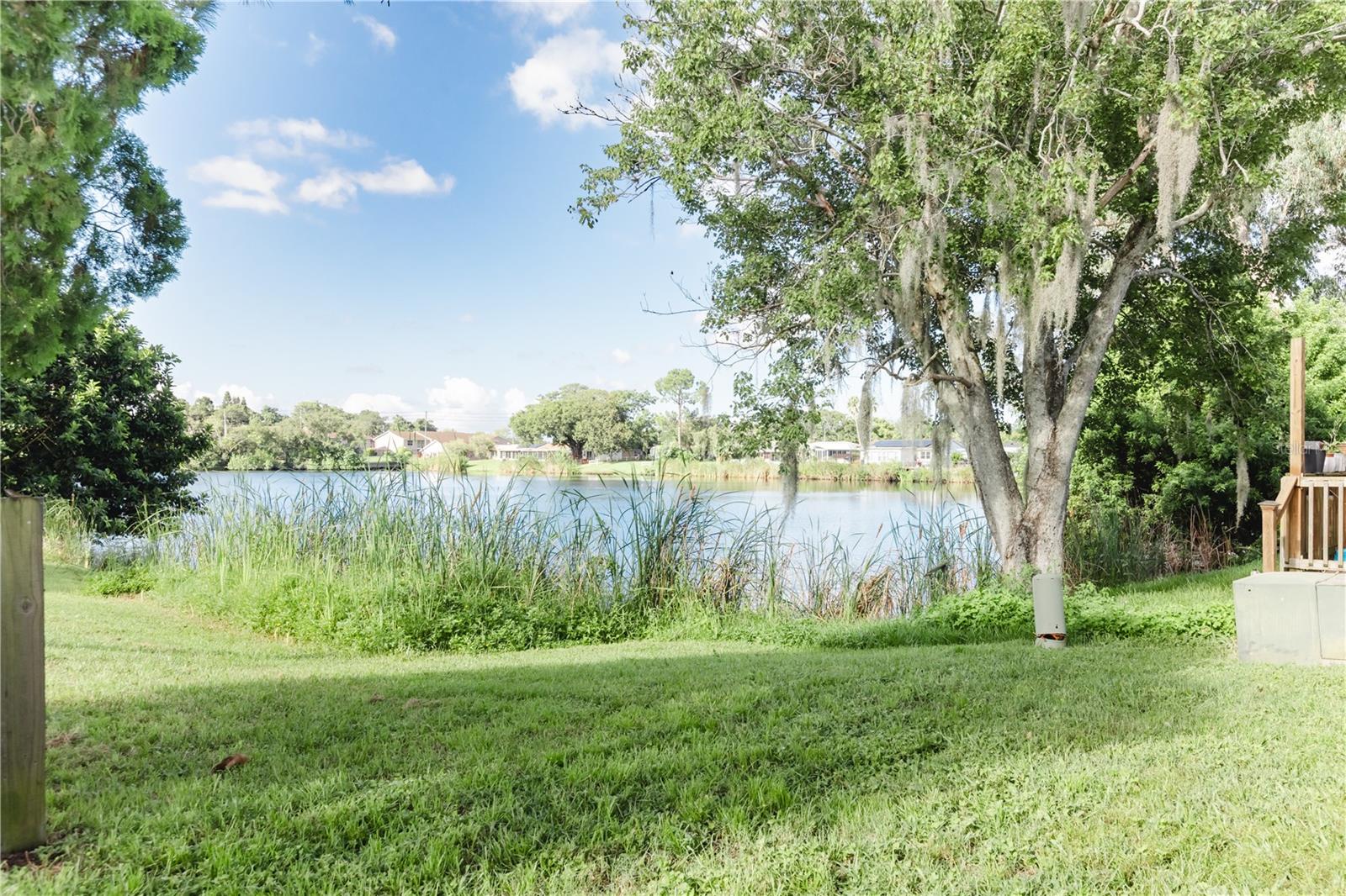 6520 Meadowbrook Ln Property Photo 37