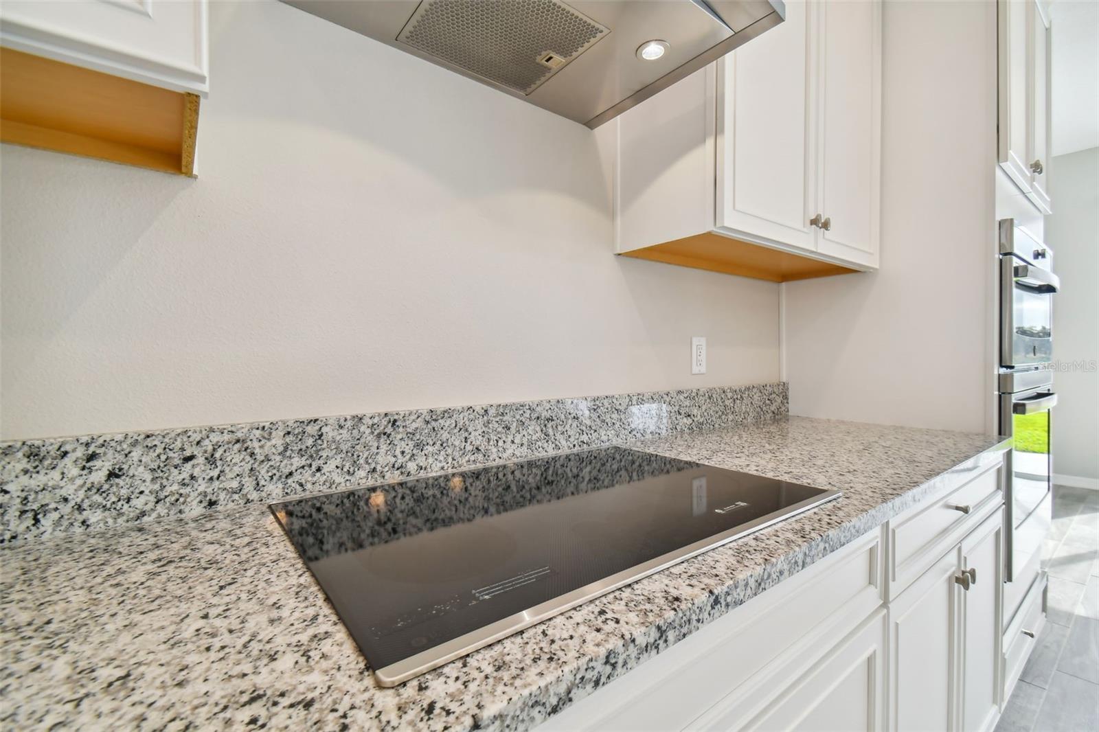 38190 Shale Stone Ct Property Photo 16