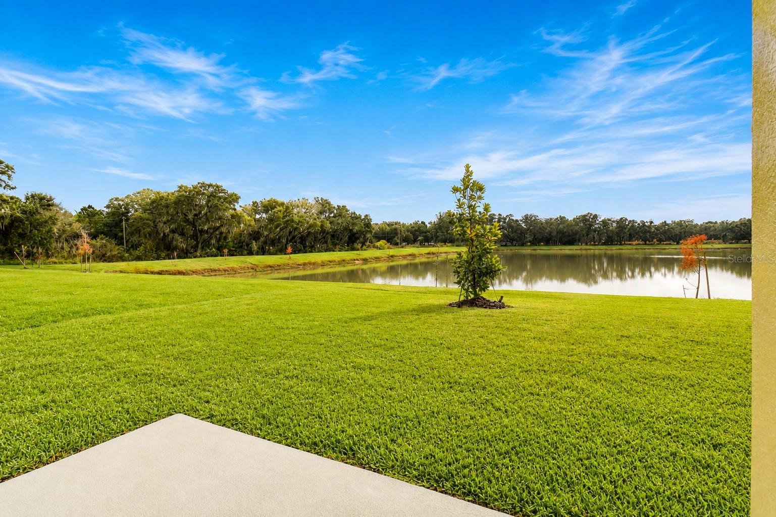 38190 Shale Stone Ct Property Photo 62