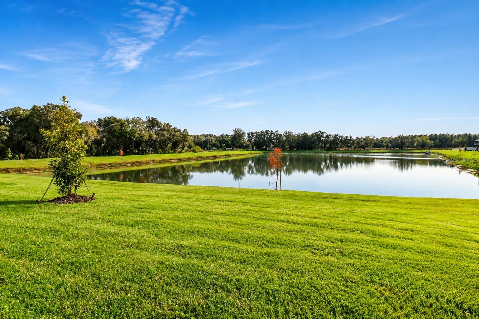 38190 Shale Stone Ct Property Photo 63