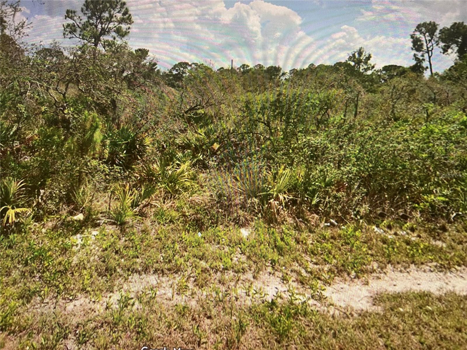 240 TERN AVE Property Photo 1