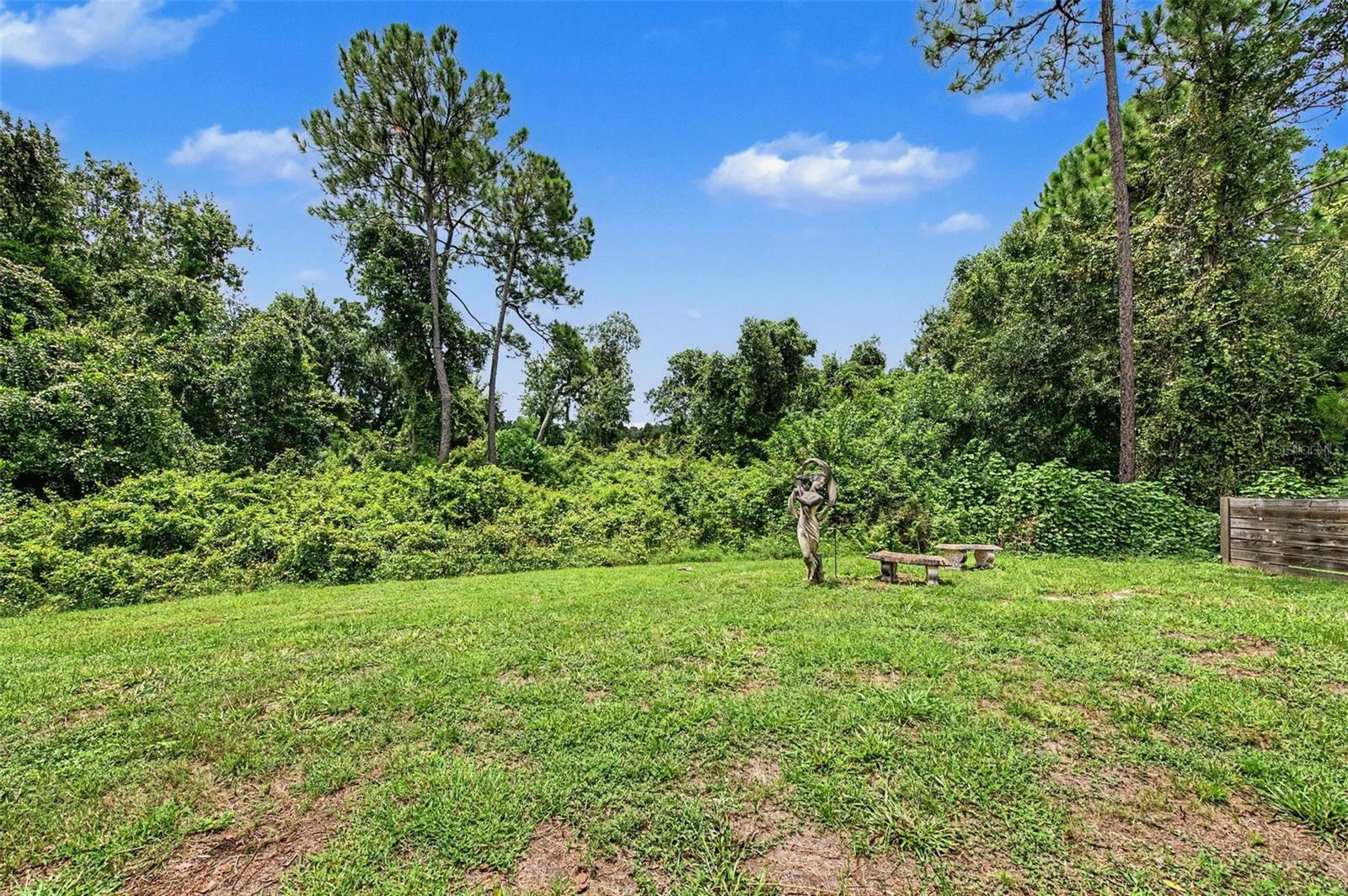15532 Lake Grace Dr Property Photo 77