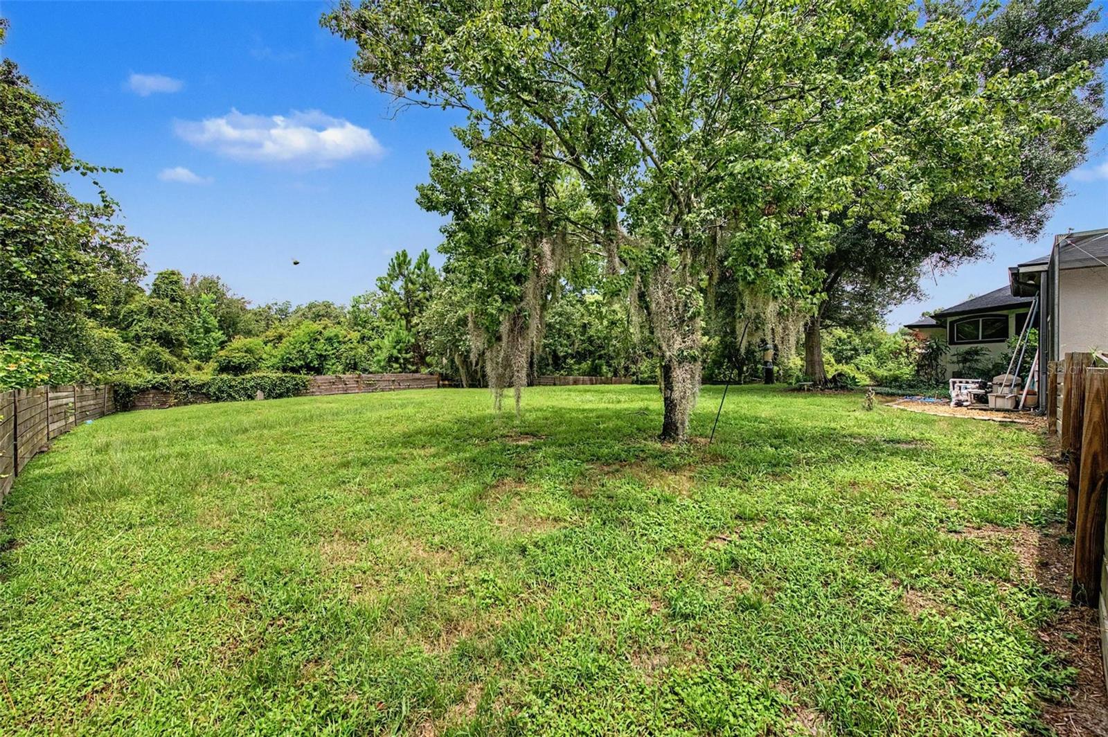15532 Lake Grace Dr Property Photo 79