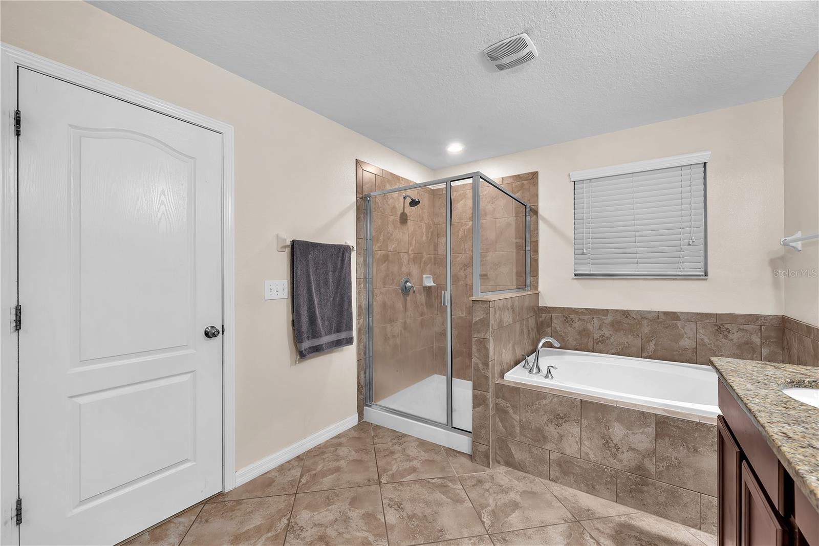 10921 Rainbow Pyrite Dr Property Photo 19