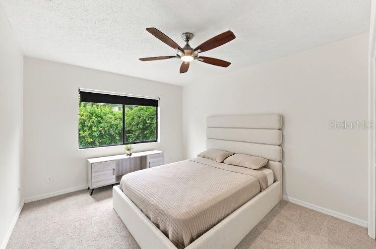 13904 Hayward Pl Property Photo 24