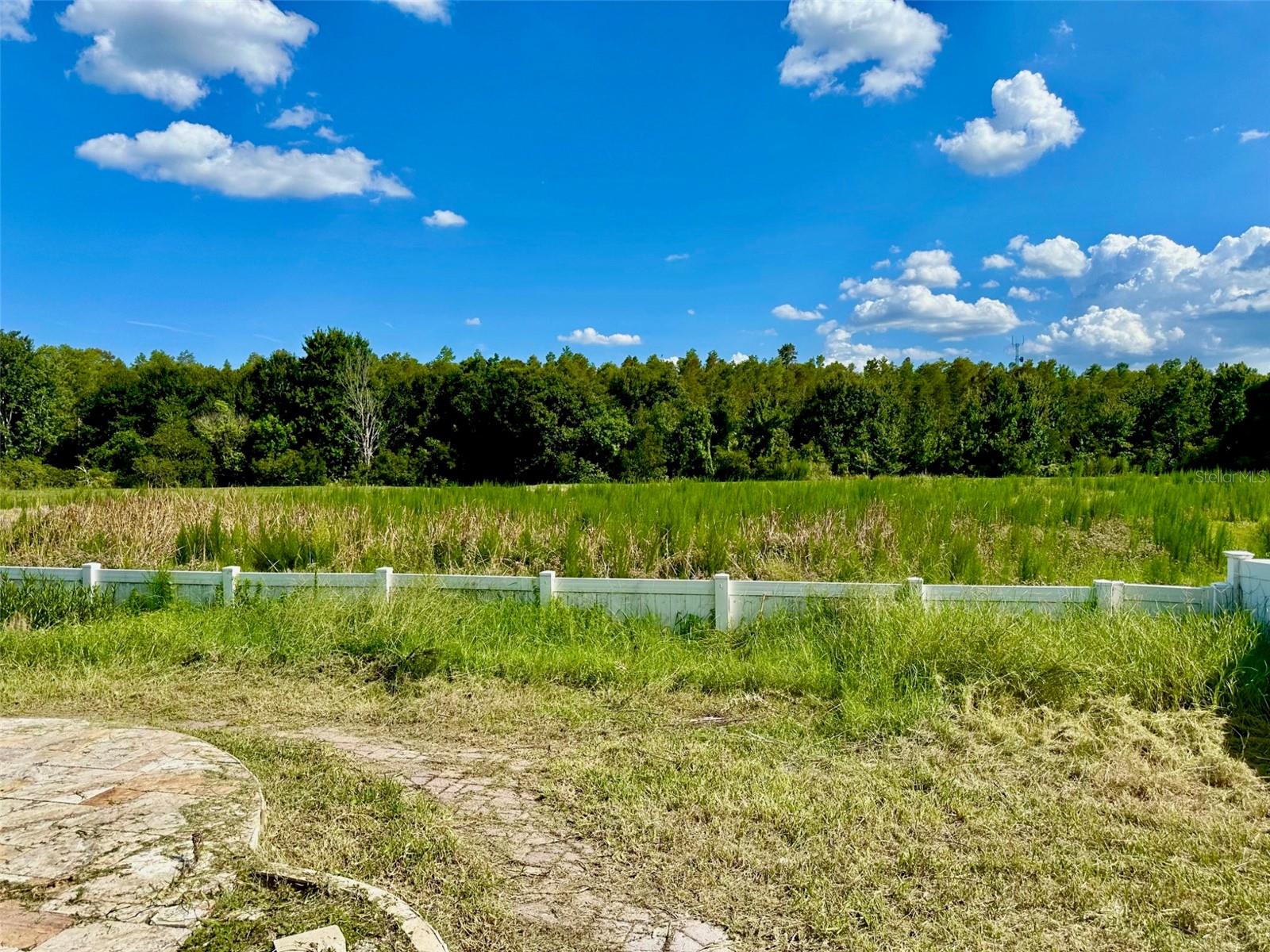 2904 Trinity Cottage Dr Property Photo 58