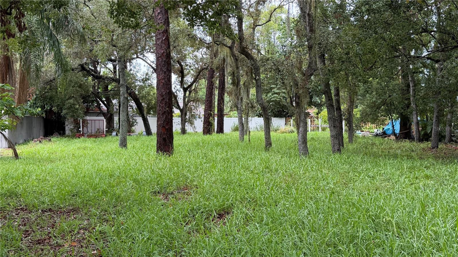 Tallahassee Dr Property Photo 1