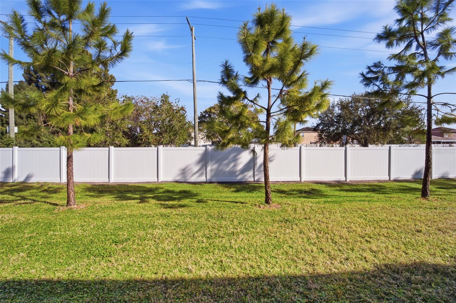 4459 Globe Thistle Dr Property Photo 5
