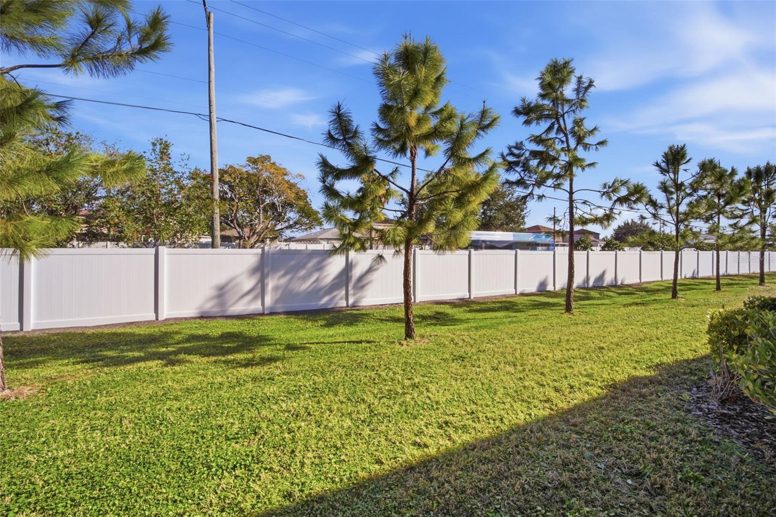 4459 Globe Thistle Dr Property Photo 35