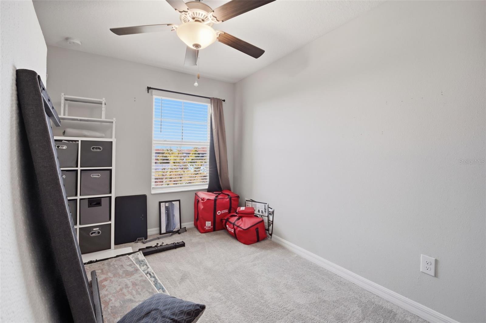 4459 Globe Thistle Dr Property Photo 37