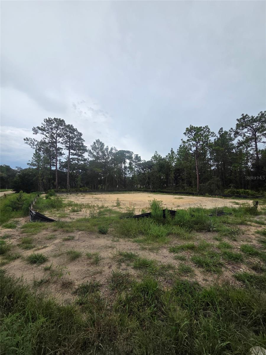 15326 Mottled Owl Rd Property Photo 1