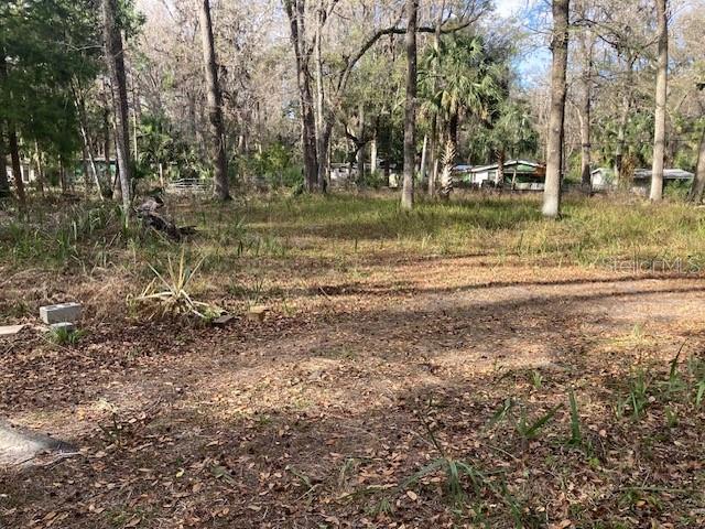 2456 N JUNGLE CAMP RD #1