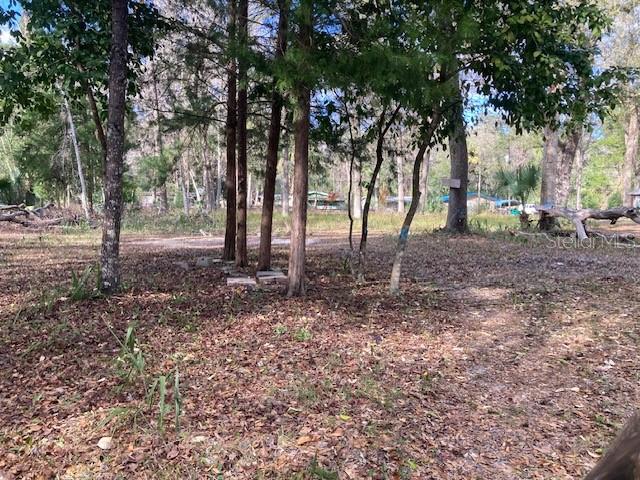 2456 N Jungle Camp Rd #1 Property Photo 4