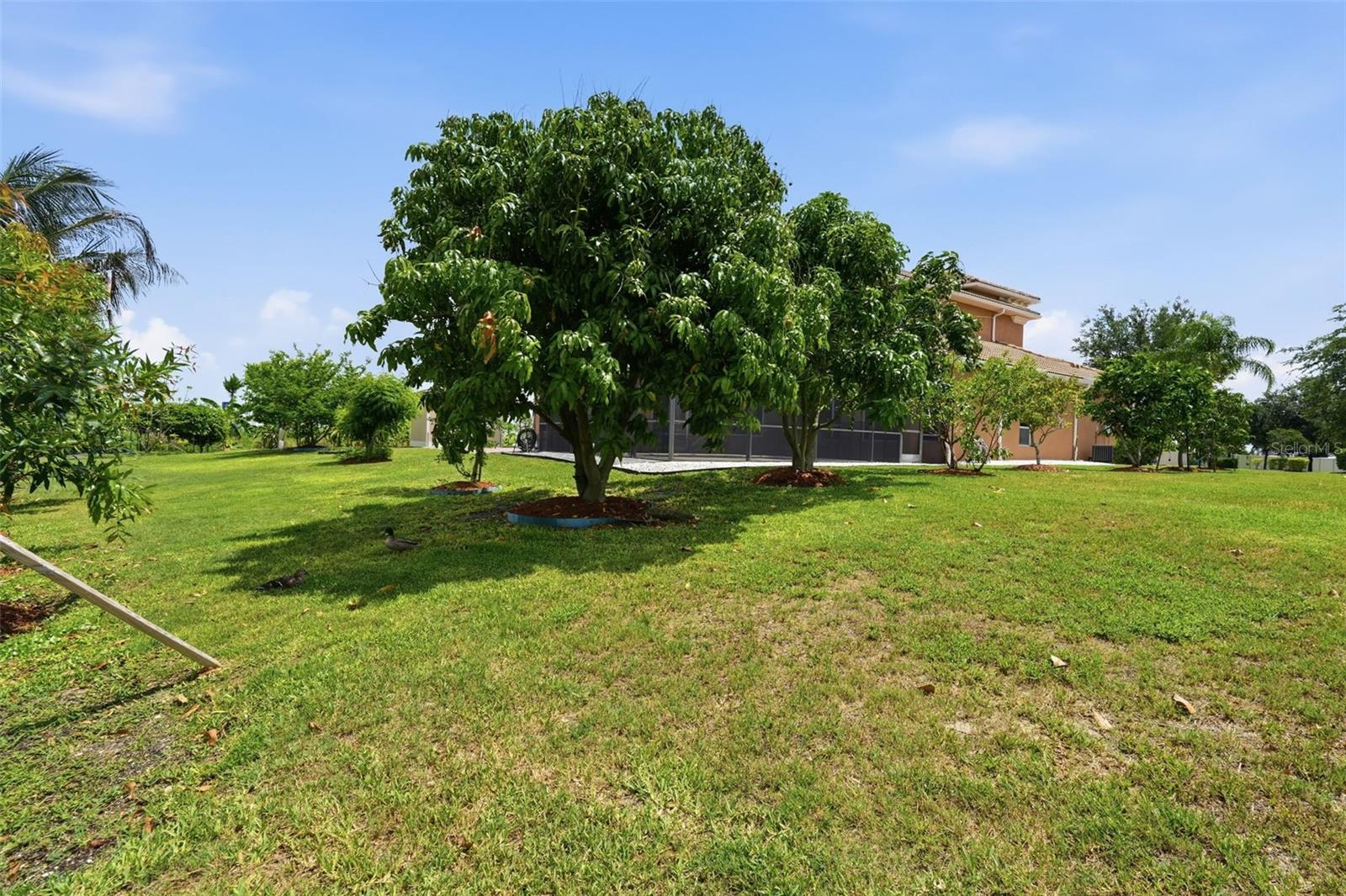 5416 Conch Shell Pl Property Photo 52