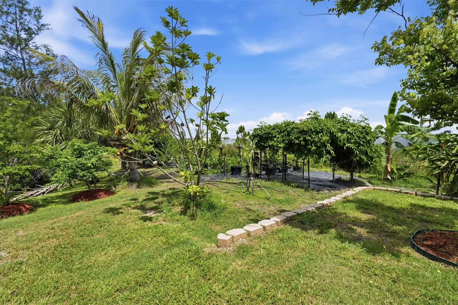 5416 Conch Shell Pl Property Photo 53