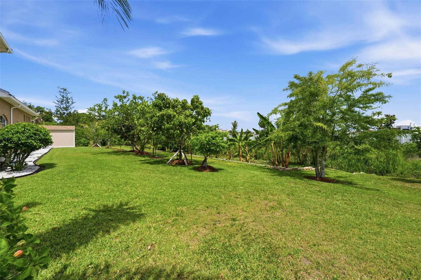 5416 Conch Shell Pl Property Photo 55