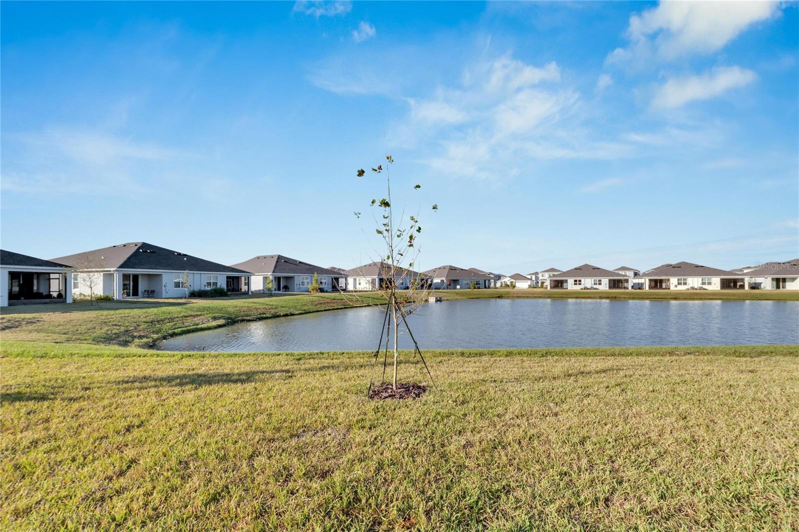 3329 Shady Sunrise Loop Property Photo 49