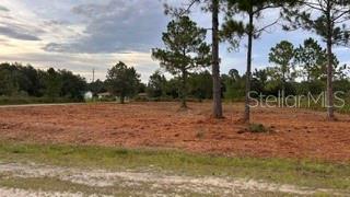 0 (BLK 177 LOT 12) OLEANDER DR Property Photo 1
