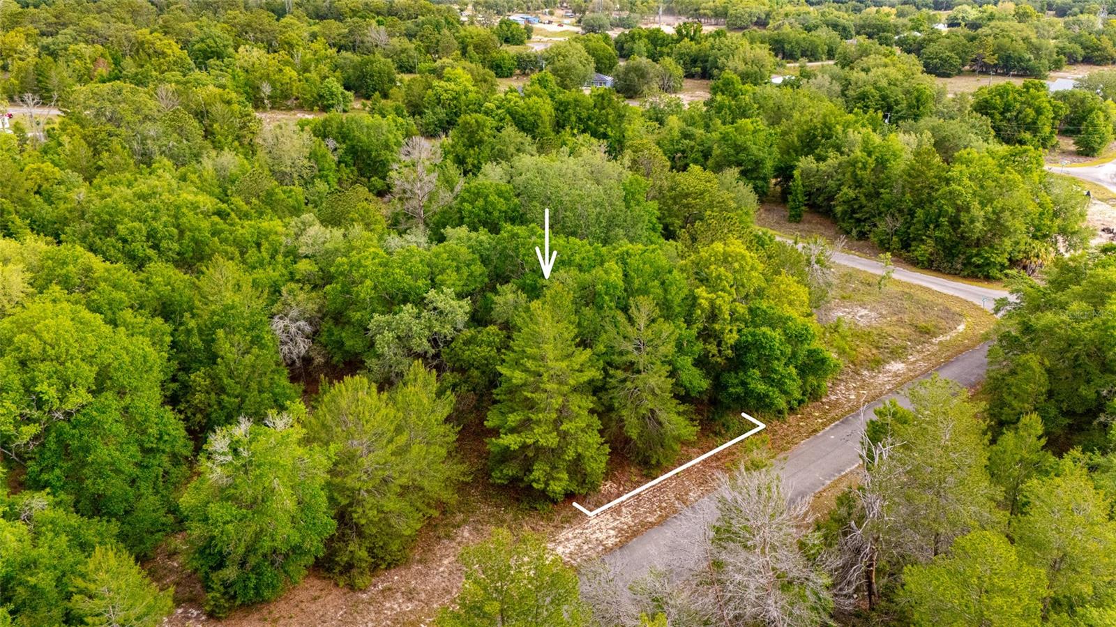 Tbd Magnolia Dr Property Photo 3