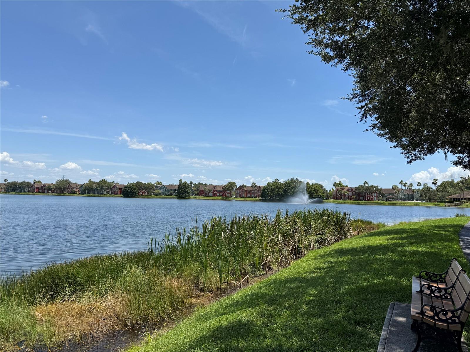 9288 Lake Chase Island Way Property Photo 2