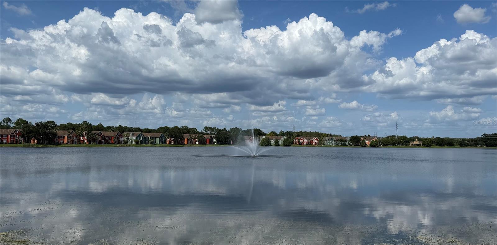 9288 Lake Chase Island Way Property Photo 39