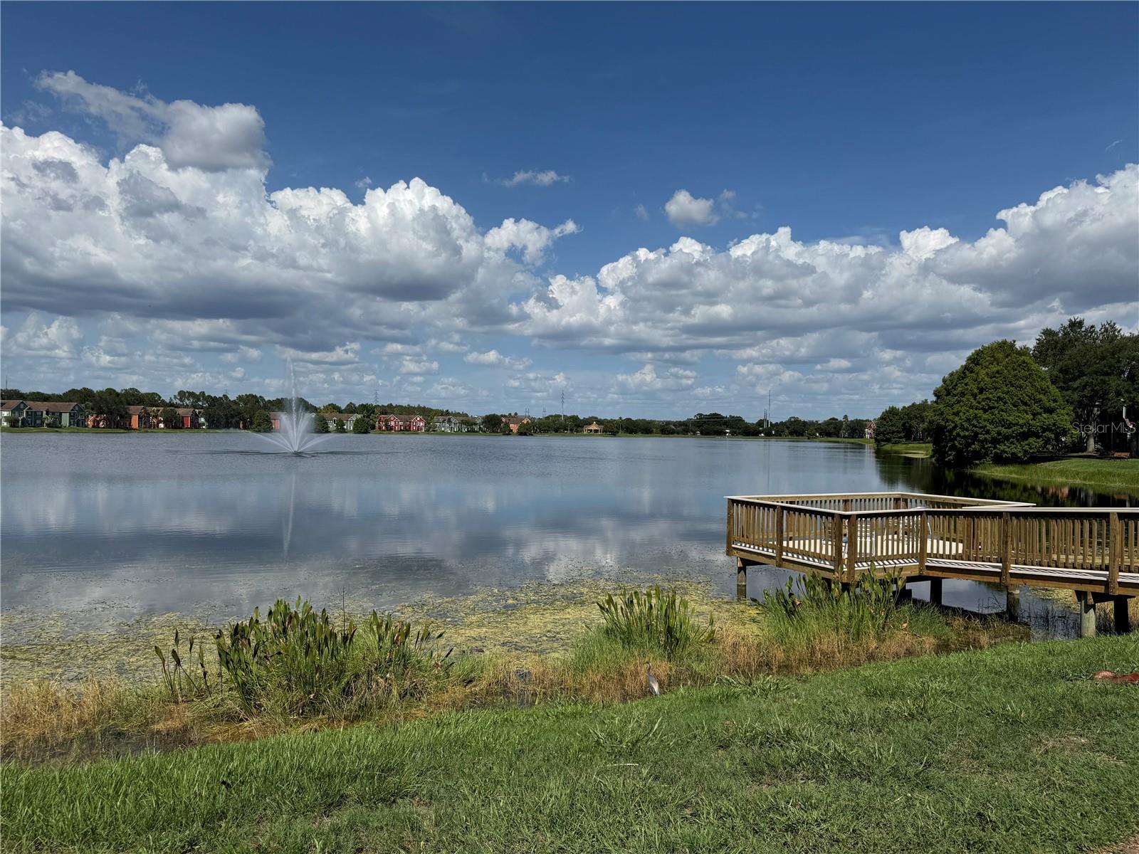 9288 Lake Chase Island Way Property Photo 40