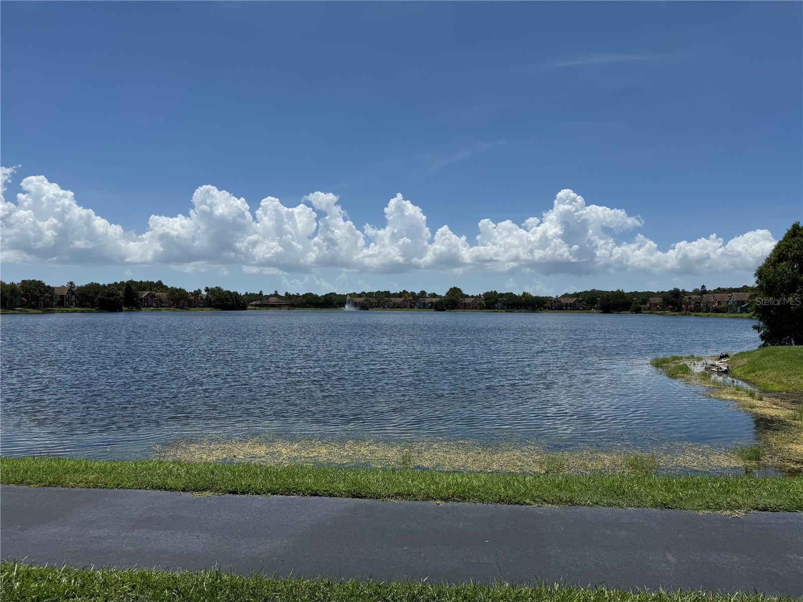 9288 Lake Chase Island Way Property Photo 54
