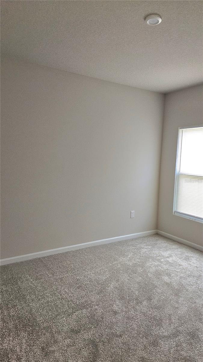 347 Biltmore Blvd Property Photo 24