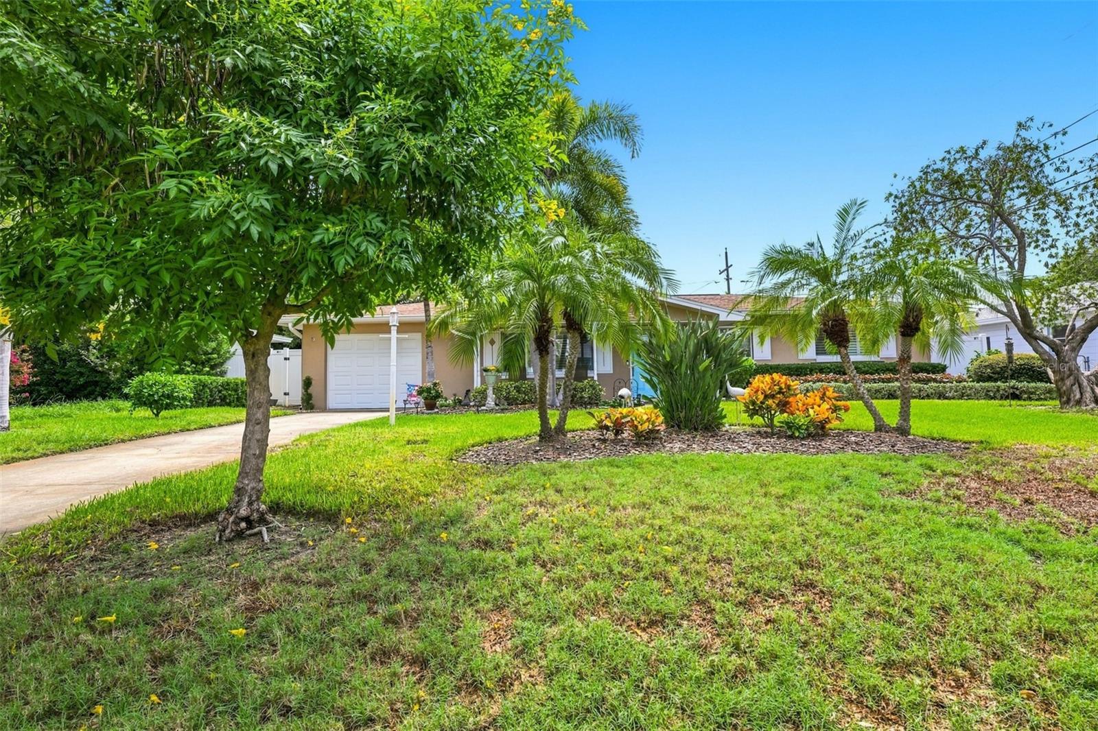 8919 109th Ln Property Photo 4