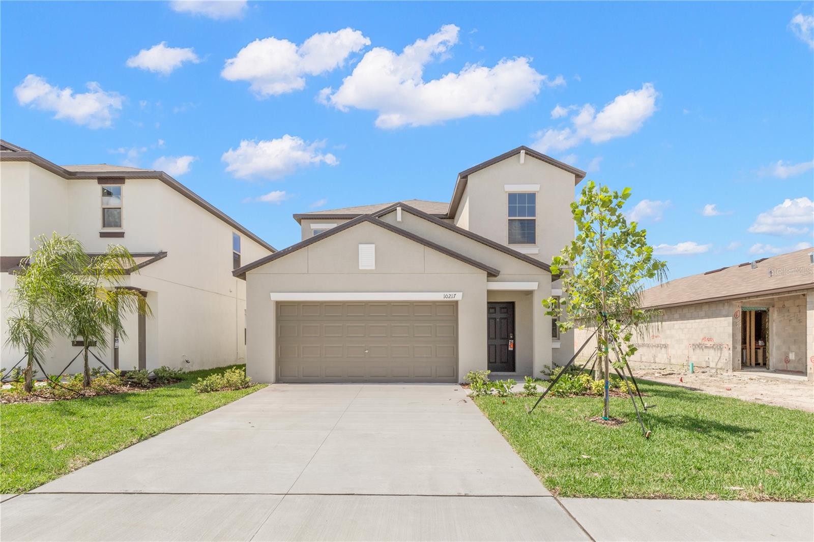 10217 Summer Kiss Ave Property Photo 2