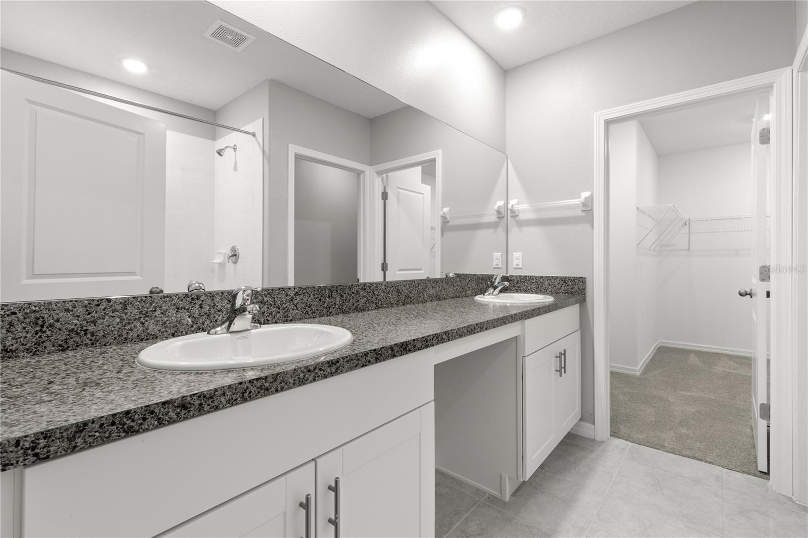 10217 Summer Kiss Ave Property Photo 13