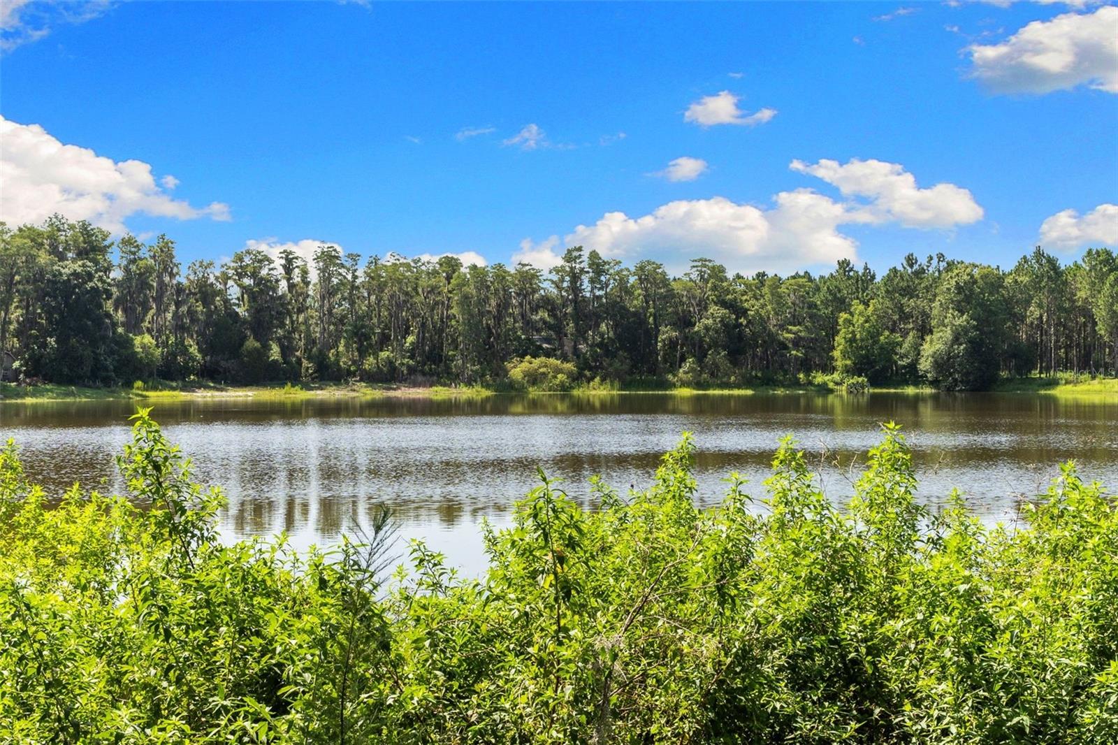 18117 Boy Scout Rd Property Photo 8