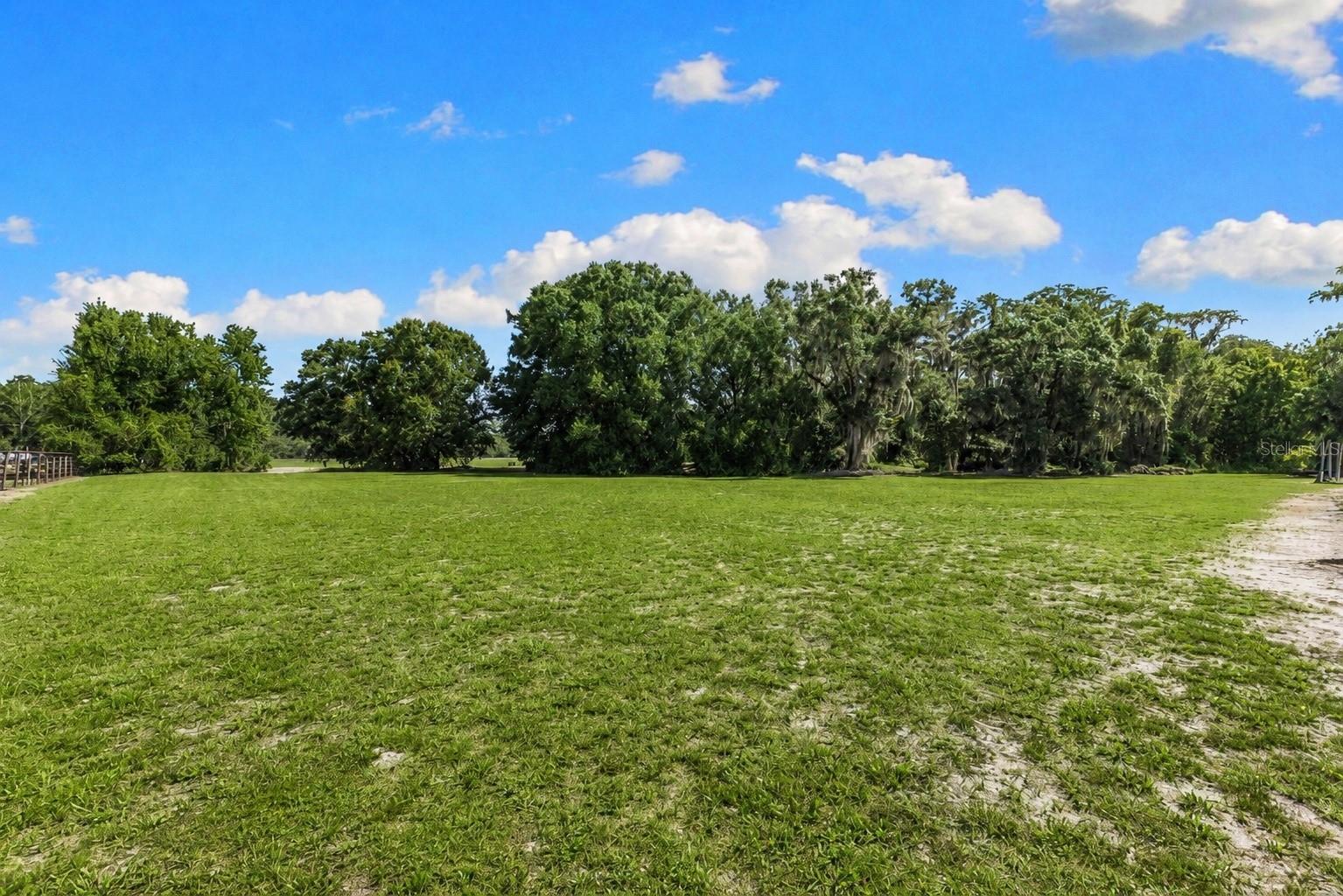 18117 Boy Scout Rd Property Photo 13