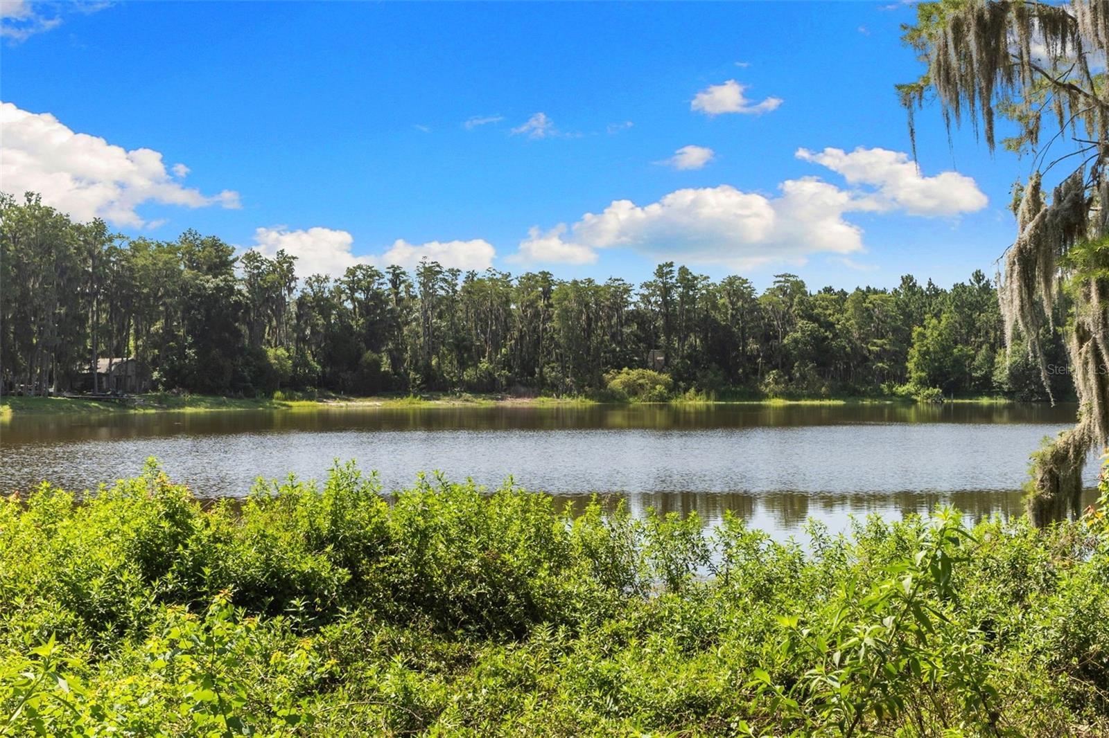 18117 Boy Scout Rd Property Photo 17