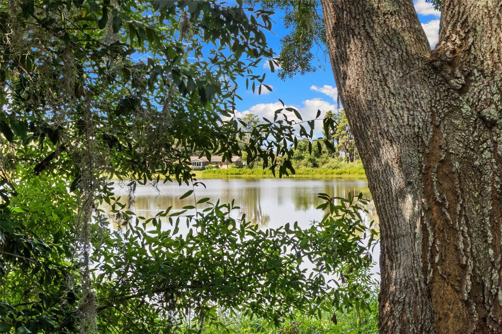 18117 Boy Scout Rd Property Photo 19