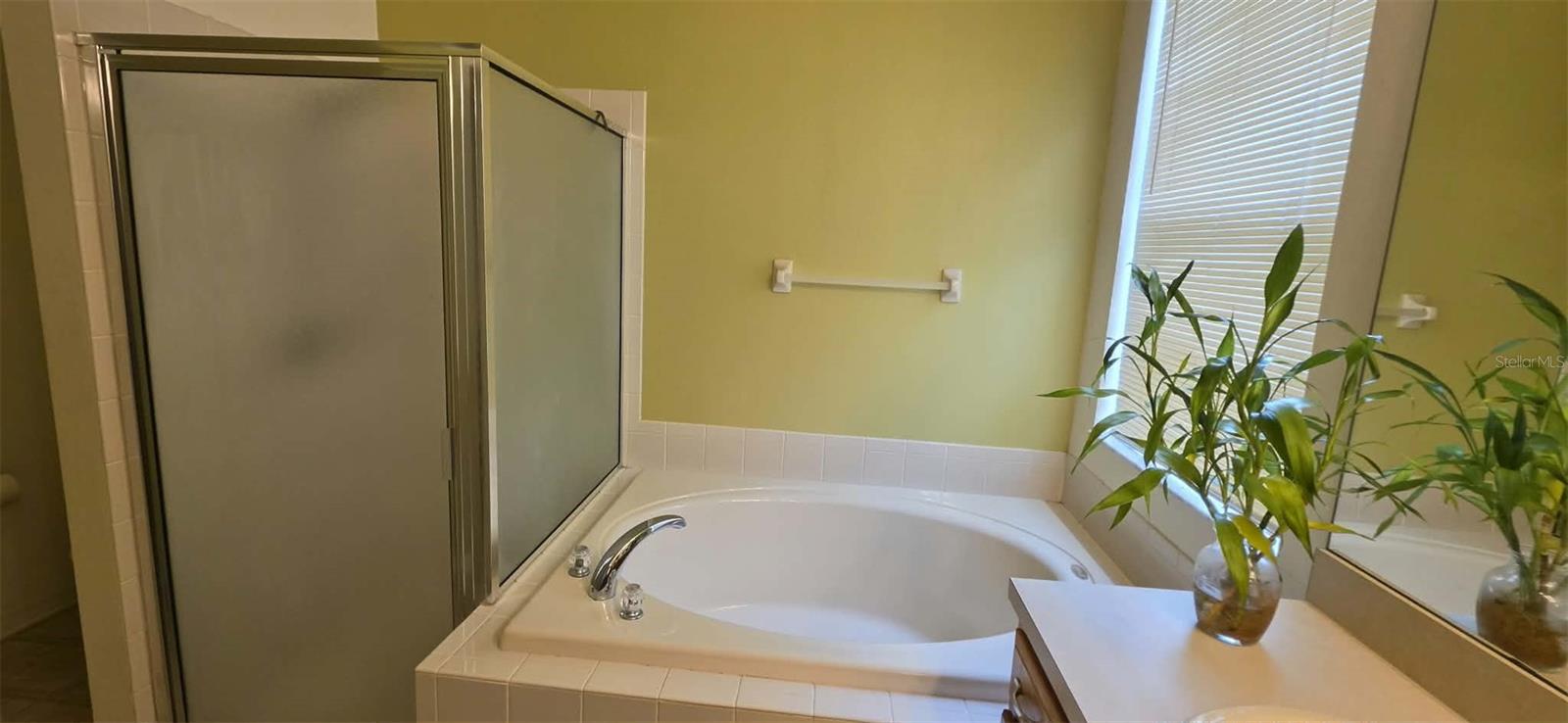 3233 Downan Point Dr Property Photo 22