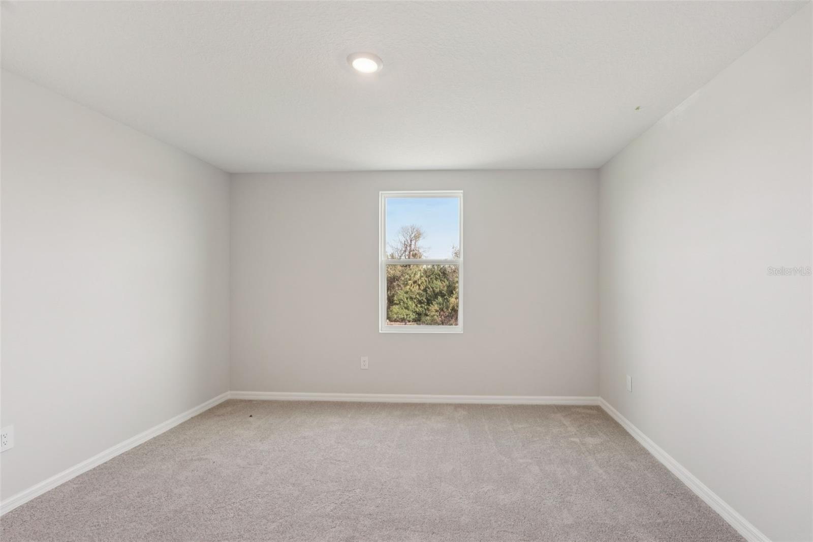 2909 Citrus Grove Street Property Photo 22