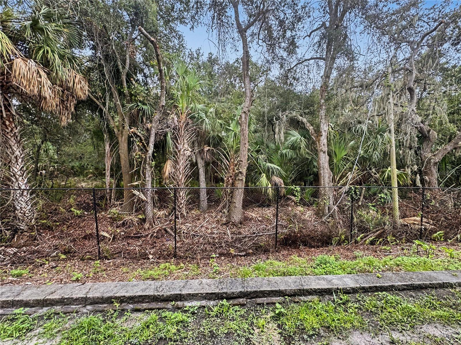 4842 Chatterton Way Property Photo 26