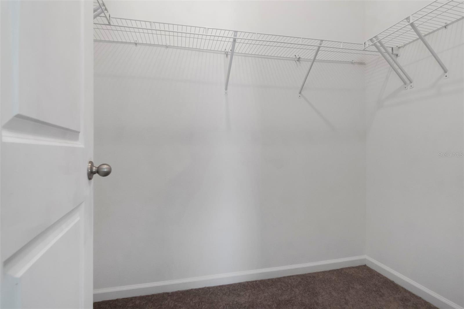 35575 Buttonweed Trl Property Photo 18