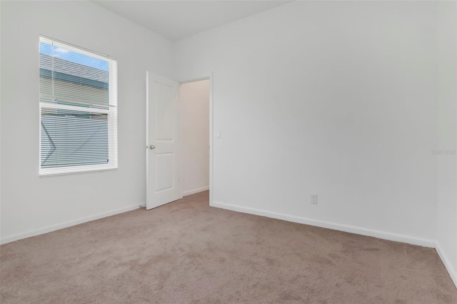 35575 Buttonweed Trl Property Photo 21