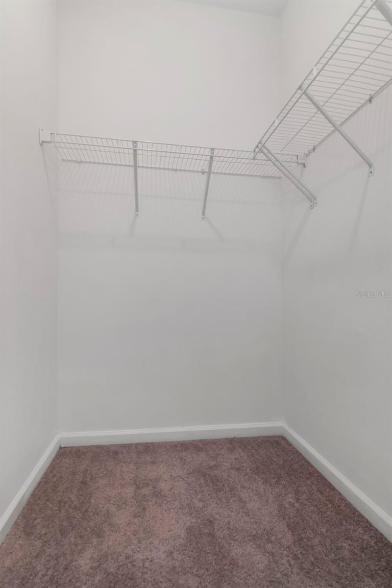 35575 Buttonweed Trl Property Photo 22
